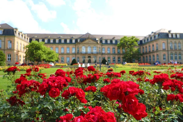 ドイツ、シュトゥットガルトのノイエ・シュロス(新宮殿)とオベレル・シュロスガルテン庭園。赤いバラの庭に焦点を当てる. — ストック写真