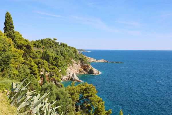 Costa dalmata con alberi di foresta verde natura con mare Adriatico blu, Croazia, Europa — Foto Stock