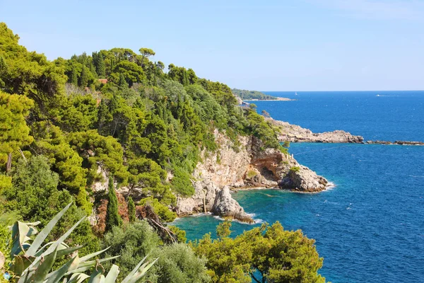 Dalmatian coast with nature green forest trees with blue Adriatic sea, Croatia, Europe