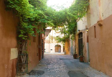 Trastevere, Roma, İtalya 'da eski bir cadde. Roma 'nın Trastevere mahallesi, Tiber' in batı kıyısında, Roma şehrinin mimarisi ve simgesi..