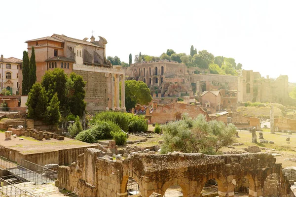 Antiguas ruinas del foro en Roma, Italia. — Foto de Stock