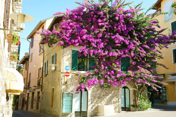 Sirmione Italien Juni 2020 Haus Voller Blumen — Stockfoto