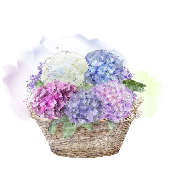 Bloemen Van Hortensia Een Mand Aquarel Schilderij — Stockfoto