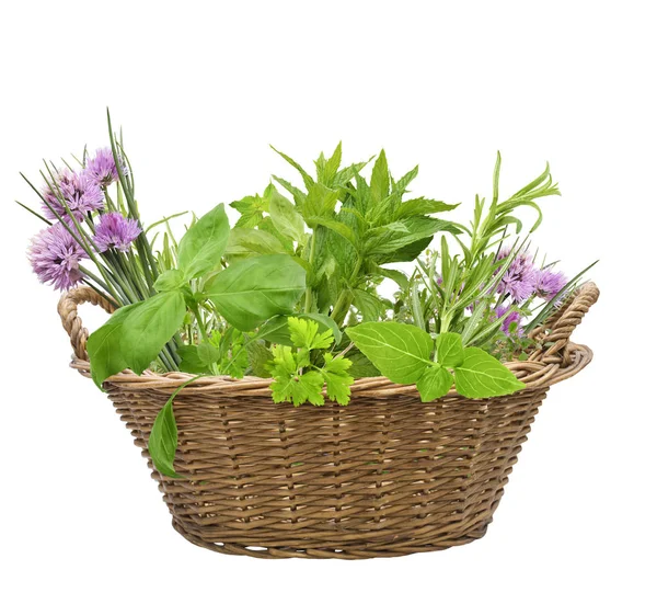 Fresh Herbs Basket Isolated White Background — Stock Photo, Image
