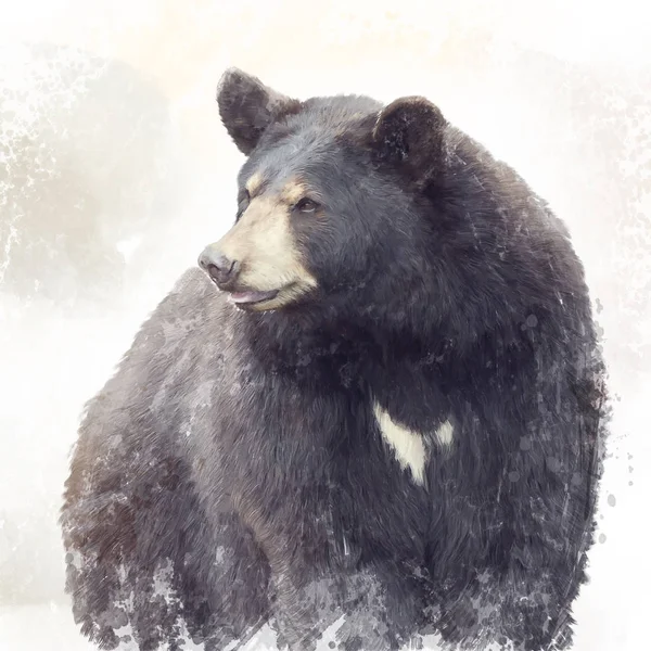 Black Bear Malarstwo Akwarela — Zdjęcie stockowe