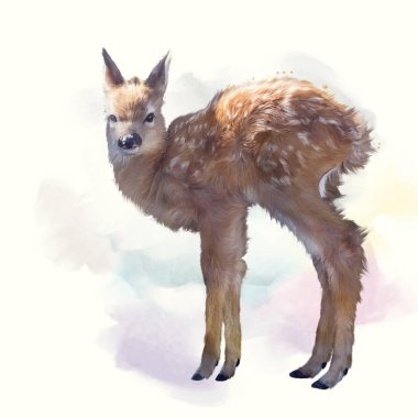 Whitetail geyik suluboya resim fawn