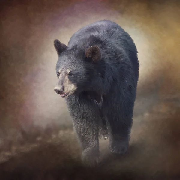 Urso Negro Andar Pintura Aquarela — Fotografia de Stock