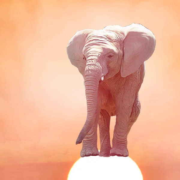 Elefante Bebé Atardecer Pintura Digital — Foto de Stock