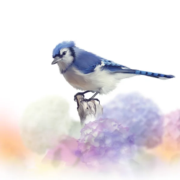 Blue Jay Blomsterträdgården Akvarell Målning Vit Bakgrund — Stockfoto