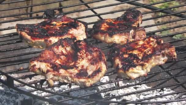 Pork Chops Cooking Outdoors Fire — Stock Video