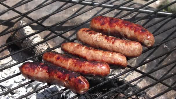 Sausages Cooking Outdoors Fire — Stock Video