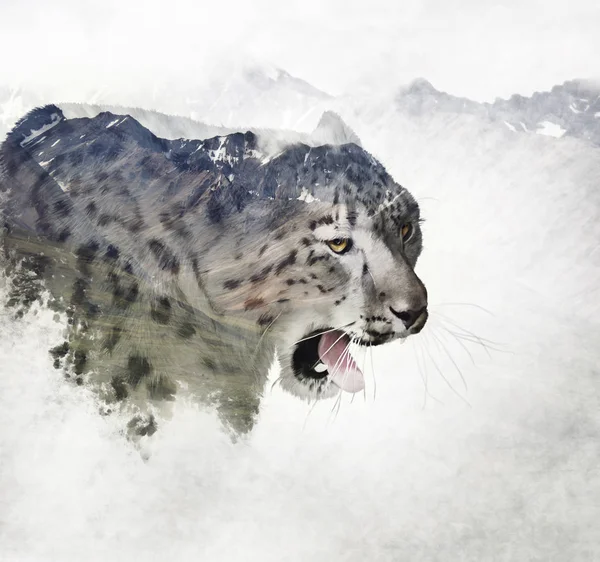 Double Exposure Snow Leopard Head Mountains — Stock Photo, Image