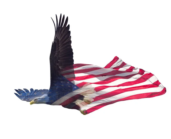 Doppelbelichtungswirkung Des Nordamerikanischen Weißkopfseeadlers Auf Die Amerikanische Flagge — Stockfoto