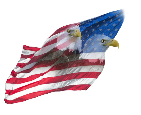 Doppelbelichtungswirkung Der Nordamerikanischen Weißkopfseeadler Auf Die Amerikanische Flagge — Stockfoto