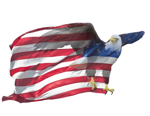 Doppelbelichtungswirkung Des Nordamerikanischen Weißkopfseeadlers Auf Die Amerikanische Flagge — Stockfoto