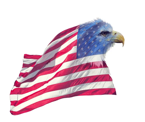 Dvojitá Expozice Vliv Severní Americký Orel Bělohlavý Americkou Vlajku — Stock fotografie