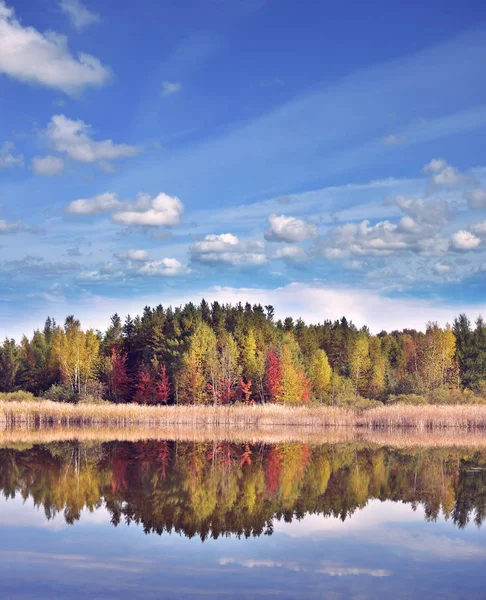 与倒影湖附近五颜六色的树木的秋天风景 — 图库照片