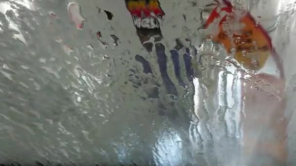 車の中から洗車ビュー — ストック動画