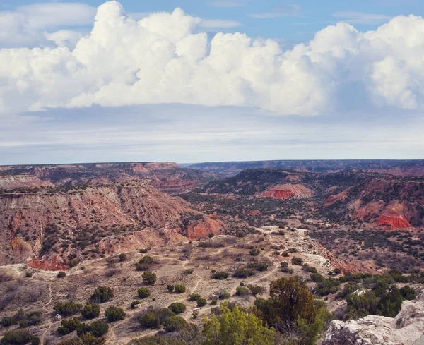 Parc d'État de Palo Duro Canyon Texas . — Photo