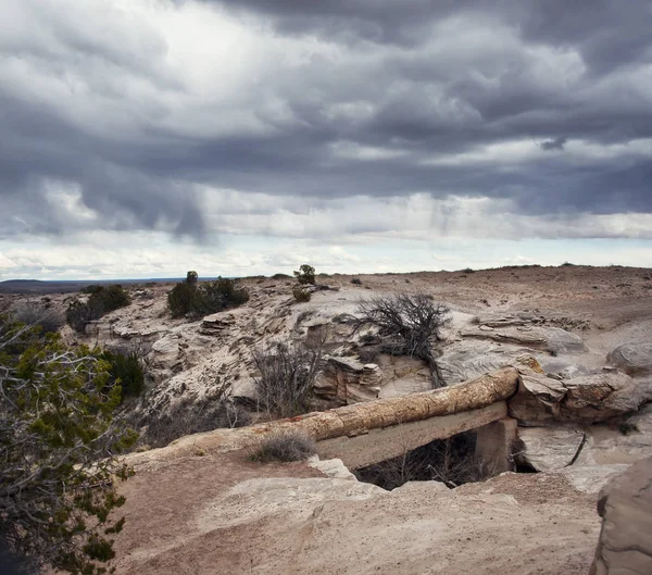 石化森林国家公园, 亚利桑那州, Usa, Agate 桥 — 图库照片