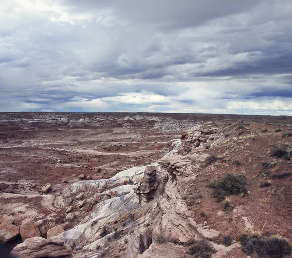 Zkamenělý Les národního parku, Arizona, Usa — Stock fotografie