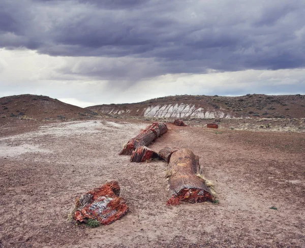 Förstenad skognationalpark, Arizona, Usa — Stockfoto