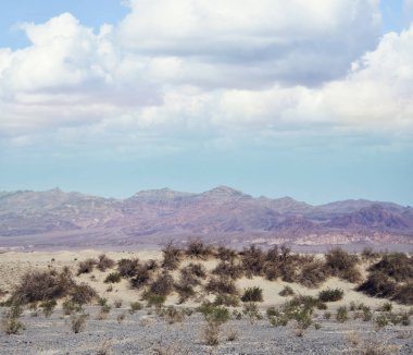 Ölüm Vadisi Milli Parkı 'nda Mesquite Dunes, Kaliforniya