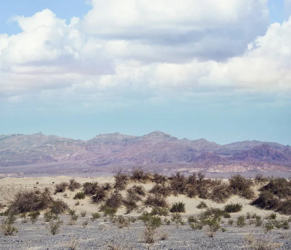 Mesquite sanddyner i Death Valley nationalpark, Kalifornien — Stockfoto