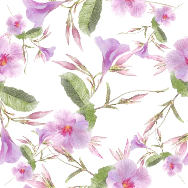 Flores de dipladenia rosa sobre fondo blanco.Patrón sin costuras . — Foto de Stock