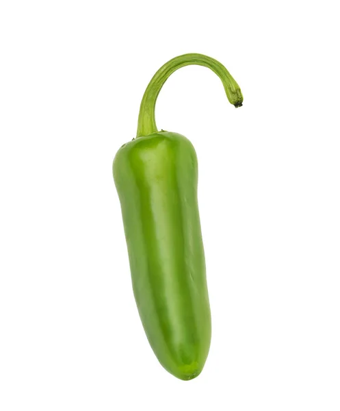 Jalapeno poivre sur fond blanc — Photo