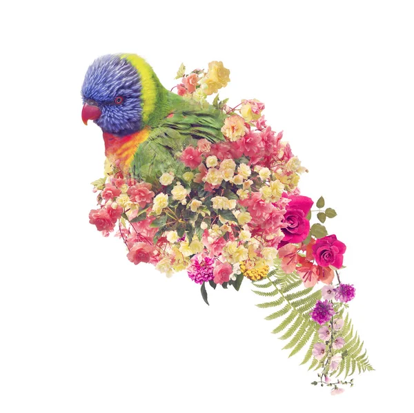 Rainbow Lorikeet papuga z kwiatami. Podwójny efekt ekspozycji — Zdjęcie stockowe