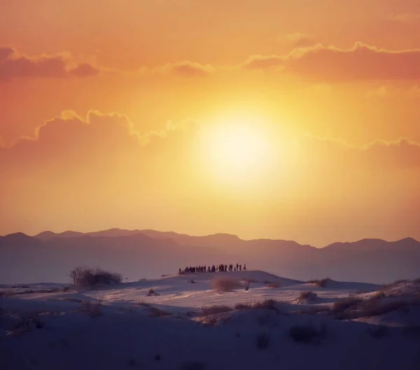 Toeristen kijken naar een woestijn zonsondergang. — Stockfoto