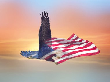 Kuzey Amerika kel kartalının Amerika'ya çifte maruz kalma etkisi 