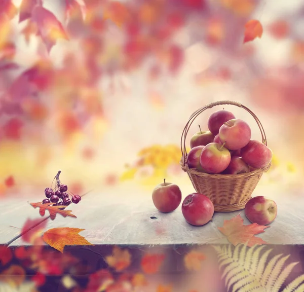 Manzanas rojas en una canasta y hojas de otoño —  Fotos de Stock