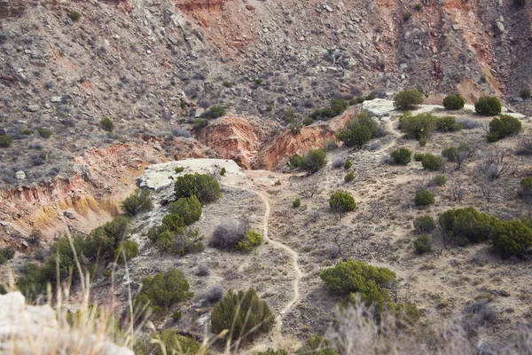 Walking path in Palo Duro canyon , Texas ,USA — Stock Photo, Image