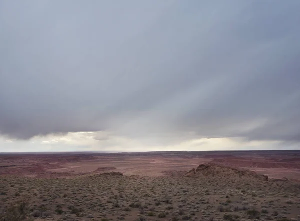 Zkamenělá lesní národní park, Arizona, Spojené státy americké — Stock fotografie