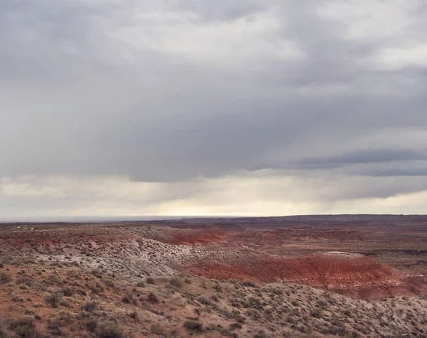 Zkamenělý Les národního parku, Arizona, Usa — Stock fotografie