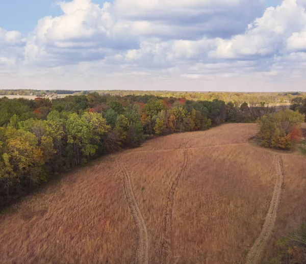 Luftaufnahme von Herbst Wiese und Wald — Stockfoto
