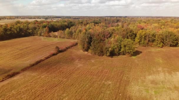 Campagne automnale colorée au coucher du soleil, vue sur les oiseaux  .