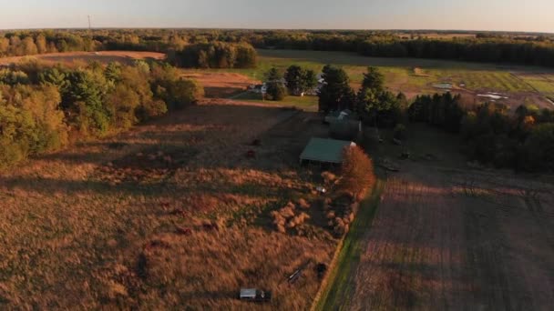 Colorata Campagna Autunnale Tramonto Vista Sugli Uccelli — Video Stock