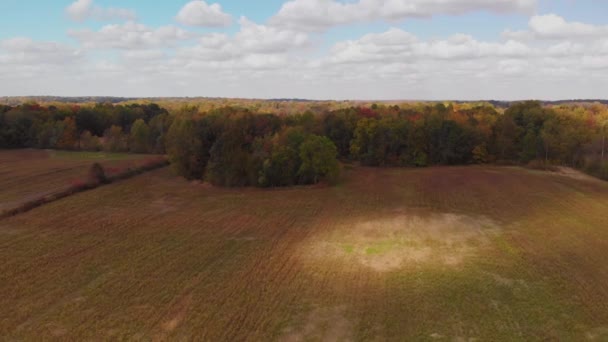 Kleurrijk Herfstlandschap Bij Zonsondergang Vogelzicht — Stockvideo