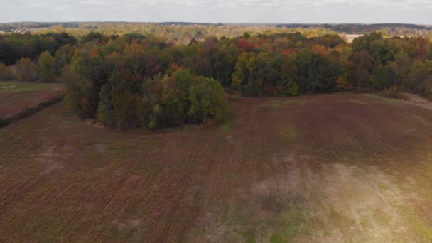 Kleurrijk Herfstlandschap Bij Zonsondergang Vogelzicht — Stockvideo