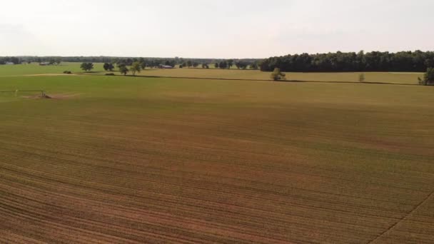 農地のある田舎の空中風景 — ストック動画