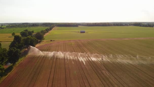 Vue Aérienne Arroseur Agricole Dans Champ Agriculture Américaine — Video