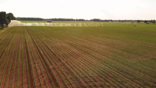 Vue Aérienne Arroseur Agricole Dans Champ Agriculture Américaine — Video