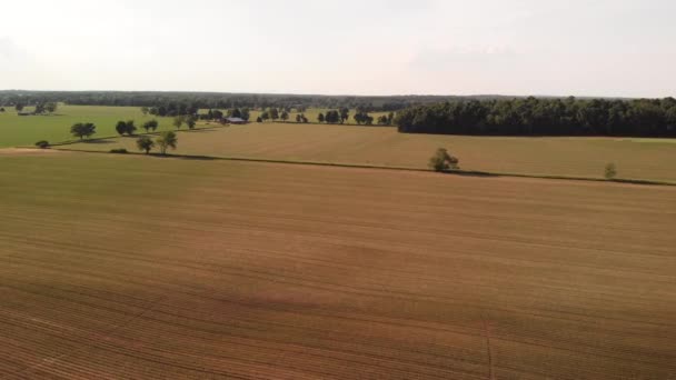 Воздушный Вид Сельскую Местность Сельскохозяйственными Полями — стоковое видео