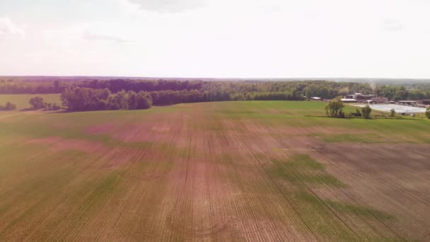 Вид Воздуха Американскую Сельскую Местность Кукурузным Полем — стоковое видео