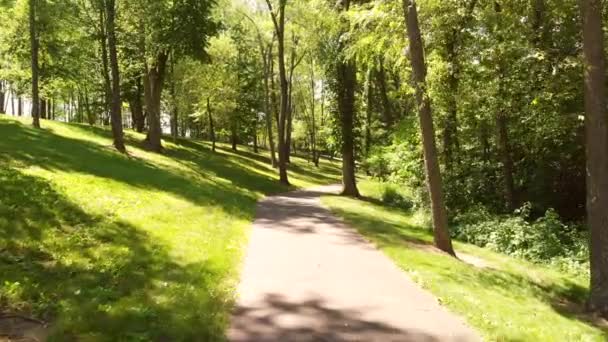 sentier pédestre dans un parc. vol de drone bas.