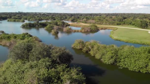 Vista Aves Humedales Florida Vuelo Con Drones Antena — Vídeos de Stock