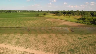 Mısır tarlasında bir tarımsal fıskiyenin havadan görünüşü.